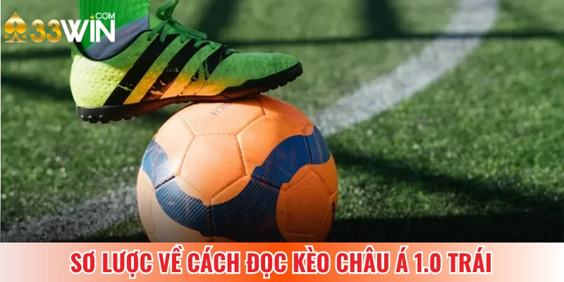 Cách đọc kèo châu Á 1.0 trái đơn giản
