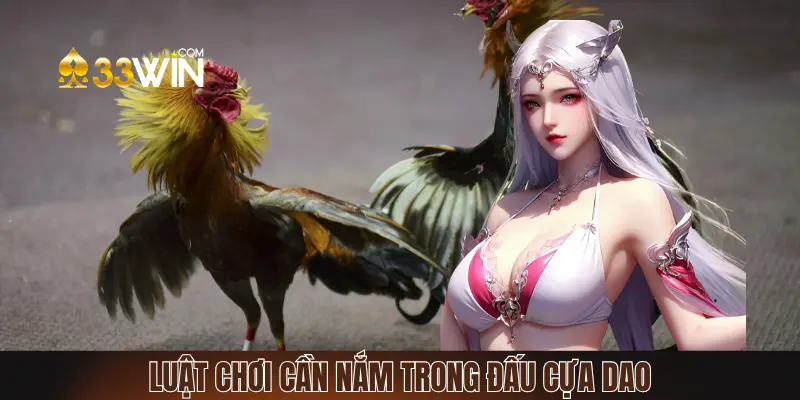 Những điều luật cần biết trong đá gà cựa dao