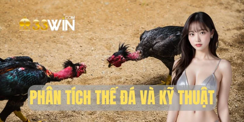 Phân tích kỹ thuật giúp tăng tỷ lệ thắng
